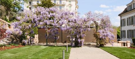 Hotel Angleterre & Residence Exterior