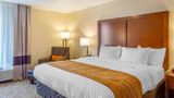 <b>Comfort Inn DeKalb Suite</b>. Images powered by <a href="https://iceportal.shijigroup.com/" title="IcePortal" target="_blank">IcePortal</a>.