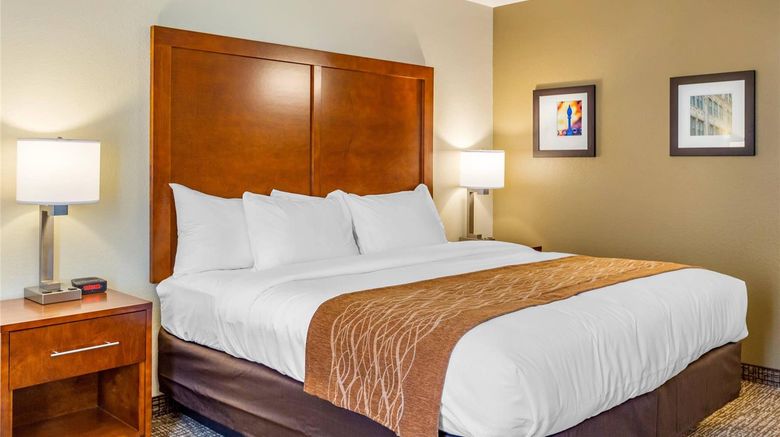 <b>Comfort Inn DeKalb Room</b>. Images powered by <a href="https://iceportal.shijigroup.com/" title="IcePortal" target="_blank">IcePortal</a>.