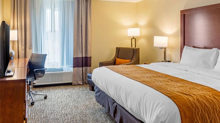 Comfort Inn DeKalb Suite