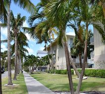 Coral Reef Apartments Exterior
