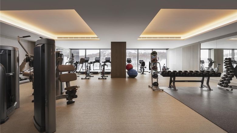 <b>Park Hyatt Niseko Hanazono Health</b>. Images powered by <a href="https://iceportal.shijigroup.com/" title="IcePortal" target="_blank">IcePortal</a>.