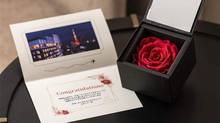 Mitsui Garden Hotel Roppongi Premier Other