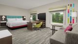 <b>Hampton Inn & Suites Airport Lake Pointe Room</b>. Images powered by <a href="https://iceportal.shijigroup.com/" title="IcePortal" target="_blank">IcePortal</a>.