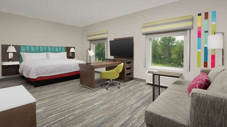 <b>Hampton Inn & Suites Airport Lake Pointe Room</b>. Images powered by <a href="https://iceportal.shijigroup.com/" title="IcePortal" target="_blank">IcePortal</a>.