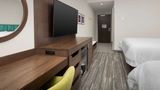 <b>Hampton Inn & Suites Airport Lake Pointe Room</b>. Images powered by <a href="https://iceportal.shijigroup.com/" title="IcePortal" target="_blank">IcePortal</a>.