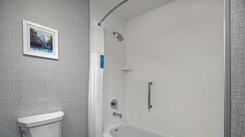 <b>Hampton Inn and Suites Farmers Branch Room</b>. Images powered by <a href="https://iceportal.shijigroup.com/" title="IcePortal" target="_blank">IcePortal</a>.