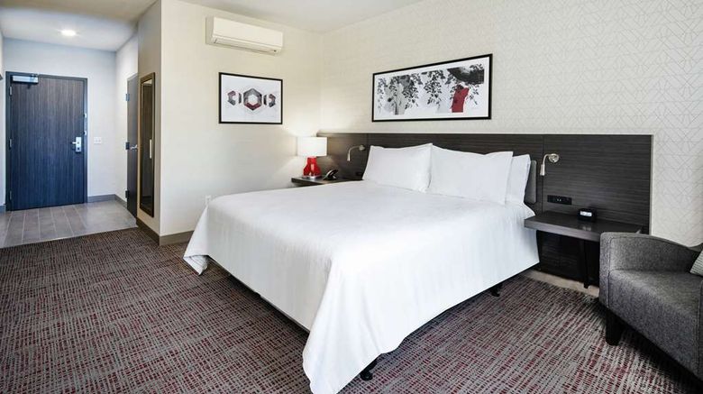 <b>Hilton Garden Inn Irvine Spectrum Room</b>. Images powered by <a href="https://iceportal.shijigroup.com/" title="IcePortal" target="_blank">IcePortal</a>.