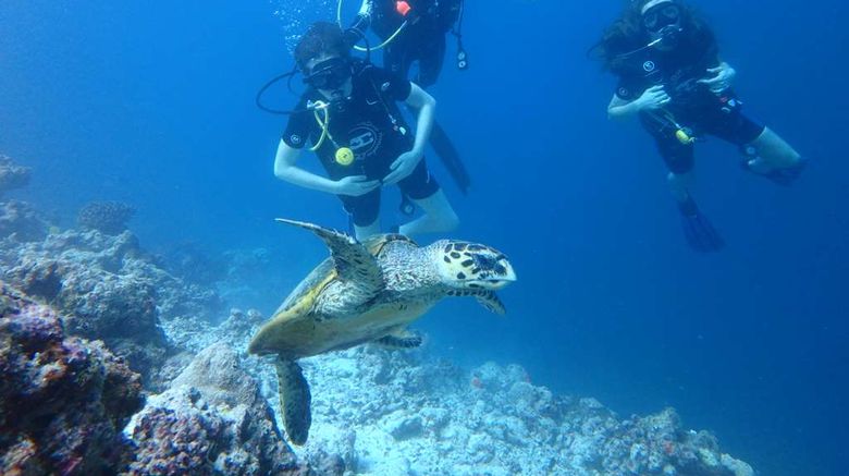 <b>Furaveri Island Resort & Spa, Maldives Other</b>. Images powered by <a href="https://iceportal.shijigroup.com/" title="IcePortal" target="_blank">IcePortal</a>.