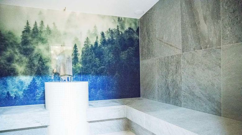 <b>Radisson Hotel Szklarska Poreba Spa</b>. Images powered by <a href="https://iceportal.shijigroup.com/" title="IcePortal" target="_blank">IcePortal</a>.
