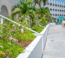 Belair Beach-All Suite Hotel Exterior