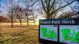 Parkview on Hagley Other