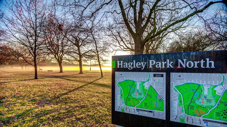 Parkview on Hagley Other
