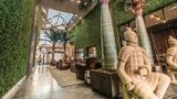Magic Village Views Trademark Lobby