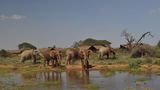Kilima Safari Camp Exterior