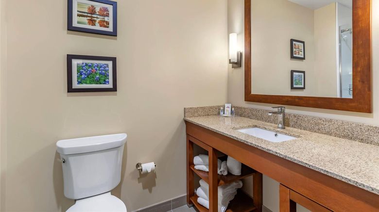 <b>Comfort Suites Ft Sam Houston/SAMMC Area Room</b>. Images powered by <a href="https://iceportal.shijigroup.com/" title="IcePortal" target="_blank">IcePortal</a>.