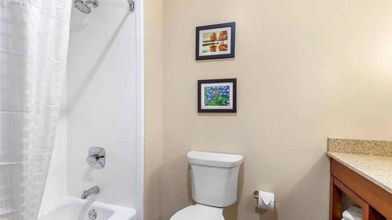 <b>Comfort Suites Ft Sam Houston/SAMMC Area Room</b>. Images powered by <a href="https://iceportal.shijigroup.com/" title="IcePortal" target="_blank">IcePortal</a>.
