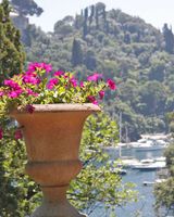 Hotel Piccolo Portofino