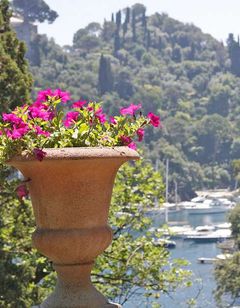 Hotel Piccolo Portofino