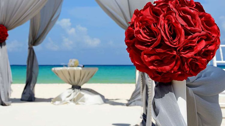 Royal Hideaway Playacar Other