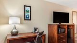 Comfort Inn & Suites Room
