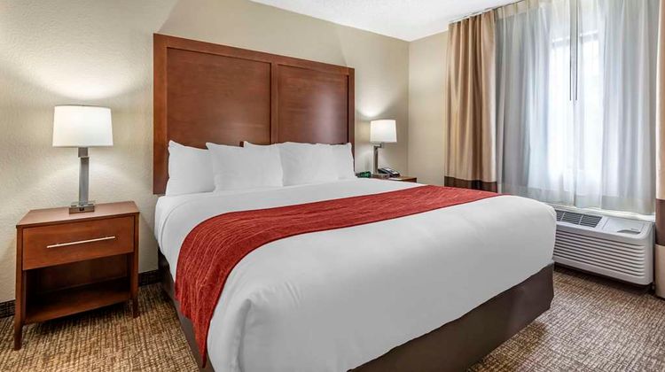 Comfort Inn & Suites Suite