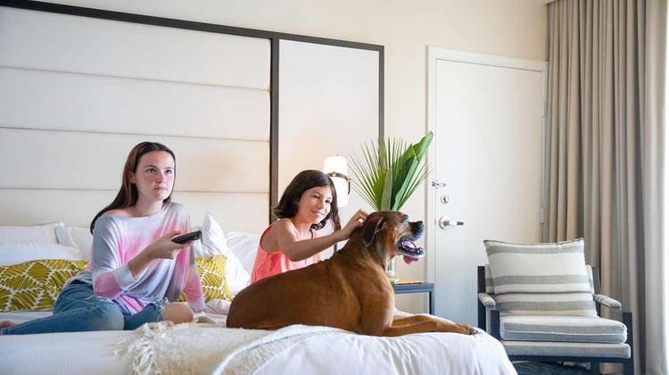 San Diego Mission Bay Resort Room
