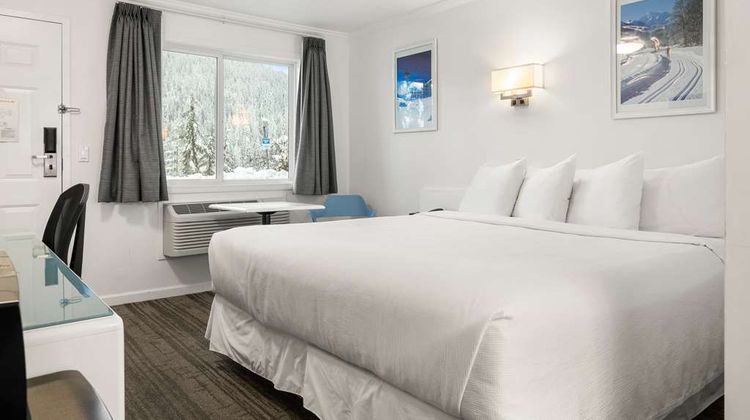 SureStay Hotel by BW Red Mountain Room
