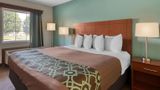 SureStay Hotel by BW Bowling Green North Room