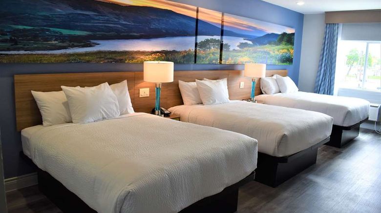 <b>Days Inn by Wyndham University Room</b>. Images powered by <a href="https://iceportal.shijigroup.com/" title="IcePortal" target="_blank">IcePortal</a>.
