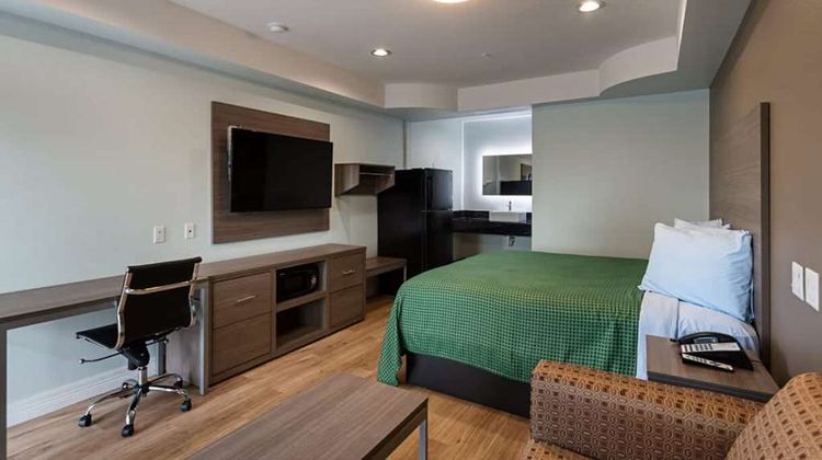 Baymont by Wyndham Kingwood Room