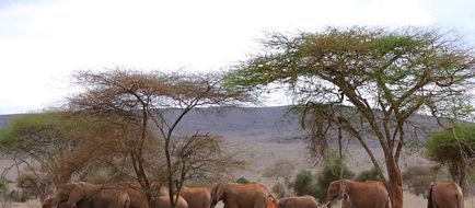 Taita Hills Safari Resort & Spa Exterior