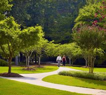 Sonesta Gwinnett Place Atlanta Hotel Exterior