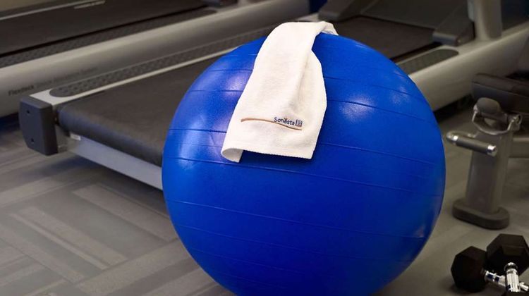 Sonesta Simply Suites Cleveland Westlake Recreation