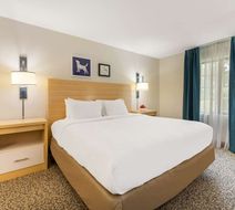 Sonesta ES Suites Charlotte Arrowood Lobby