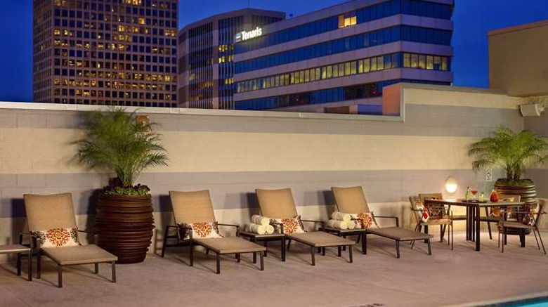 <b>The Royal Sonesta Houston Galleria Pool</b>. Images powered by <a href="https://iceportal.shijigroup.com/" title="IcePortal" target="_blank">IcePortal</a>.