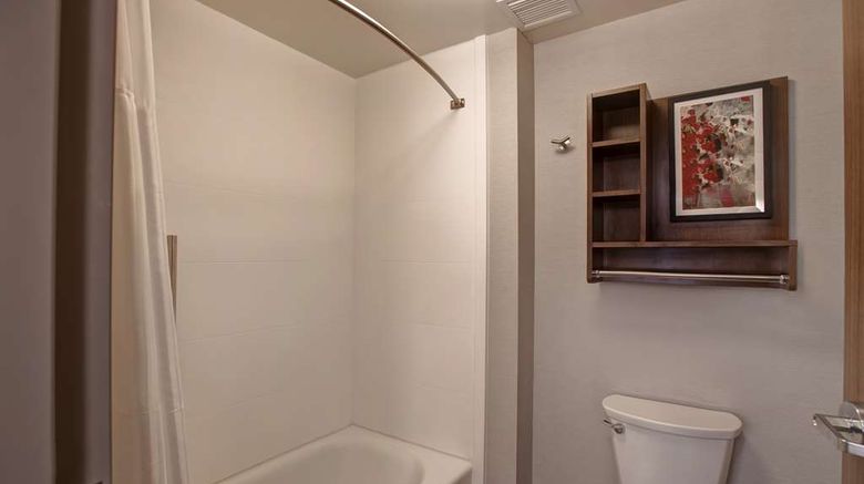<b>Homewood Suites by Hilton Summerville Room</b>. Images powered by <a href="https://iceportal.shijigroup.com/" title="IcePortal" target="_blank">IcePortal</a>.