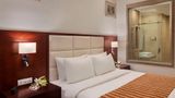 Ramada by Wyndham New Delhi Pitampura Suite