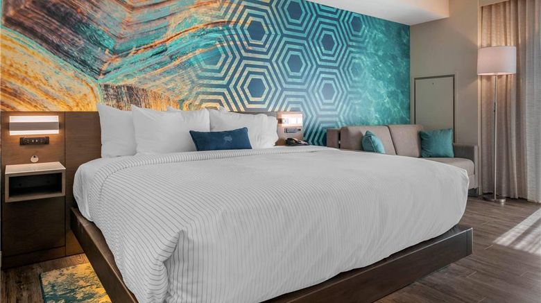 <b>Cambria St Petersburg-Madeira Beach Room</b>. Images powered by <a href="https://iceportal.shijigroup.com/" title="IcePortal" target="_blank">IcePortal</a>.