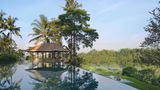 Amandari Pool
