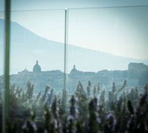 De Bonart Naples, Curio Collection Exterior