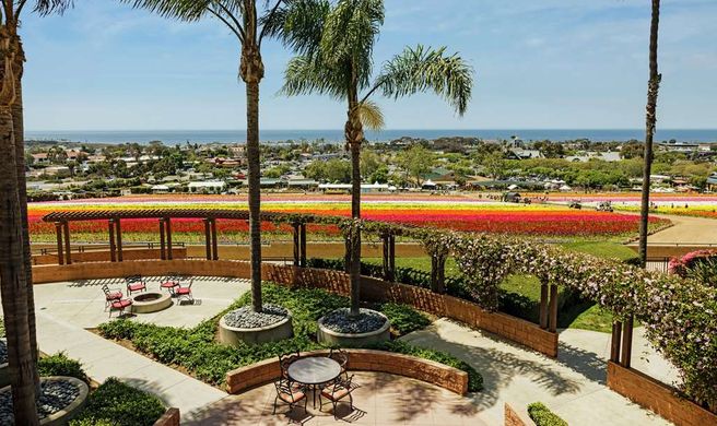 The Cassara Carlsbad-Tapestry Collection Exterior