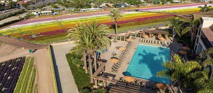The Cassara Carlsbad-Tapestry Collection Exterior