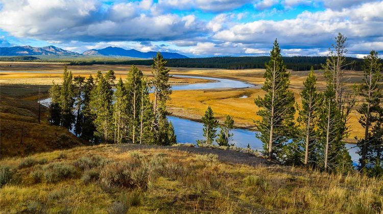 The Ridgeline at Yellowstone-Ascend Coll Other