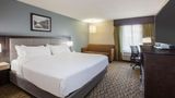 Wingate by Wyndham Roseville/Detroit Room
