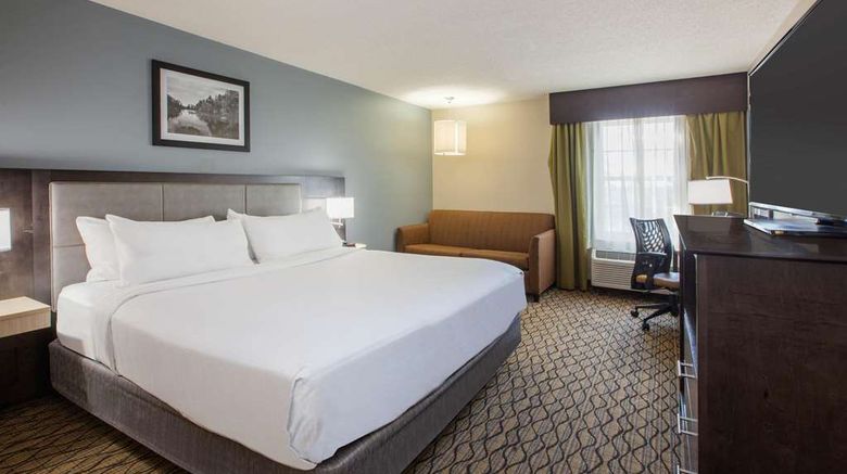<b>Wingate by Wyndham Roseville/Detroit Room</b>. Images powered by <a href="https://iceportal.shijigroup.com/" title="IcePortal" target="_blank">IcePortal</a>.