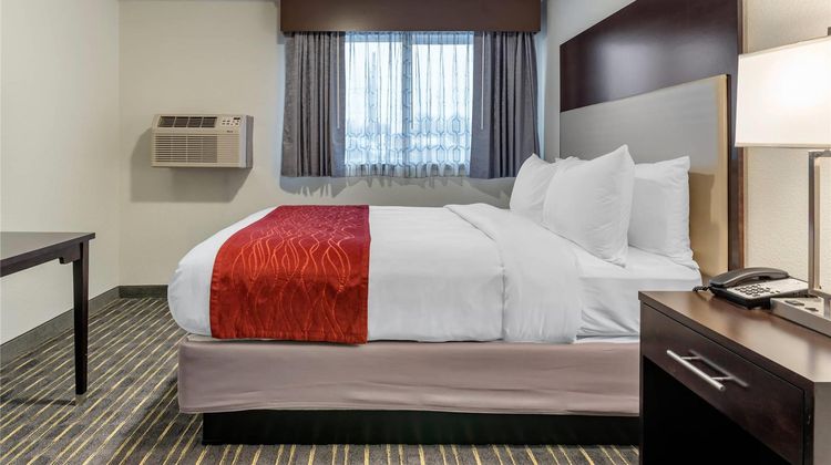 Comfort Inn & Suites Washington Square Room