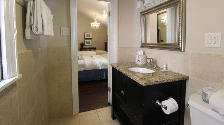 <b>Andrew Jackson Hotel Room</b>. Images powered by <a href="https://iceportal.shijigroup.com/" title="IcePortal" target="_blank">IcePortal</a>.