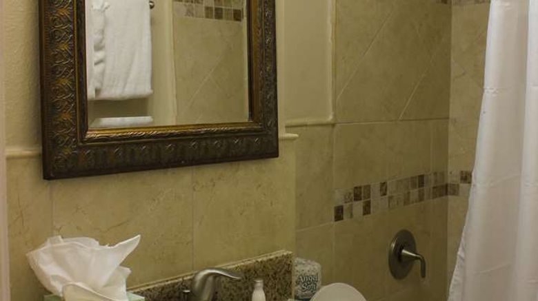<b>Andrew Jackson Hotel Room</b>. Images powered by <a href="https://iceportal.shijigroup.com/" title="IcePortal" target="_blank">IcePortal</a>.