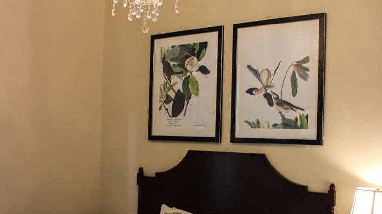 <b>Andrew Jackson Hotel Room</b>. Images powered by <a href="https://iceportal.shijigroup.com/" title="IcePortal" target="_blank">IcePortal</a>.